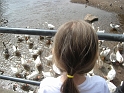 Kids_Bridgnorth (46) 